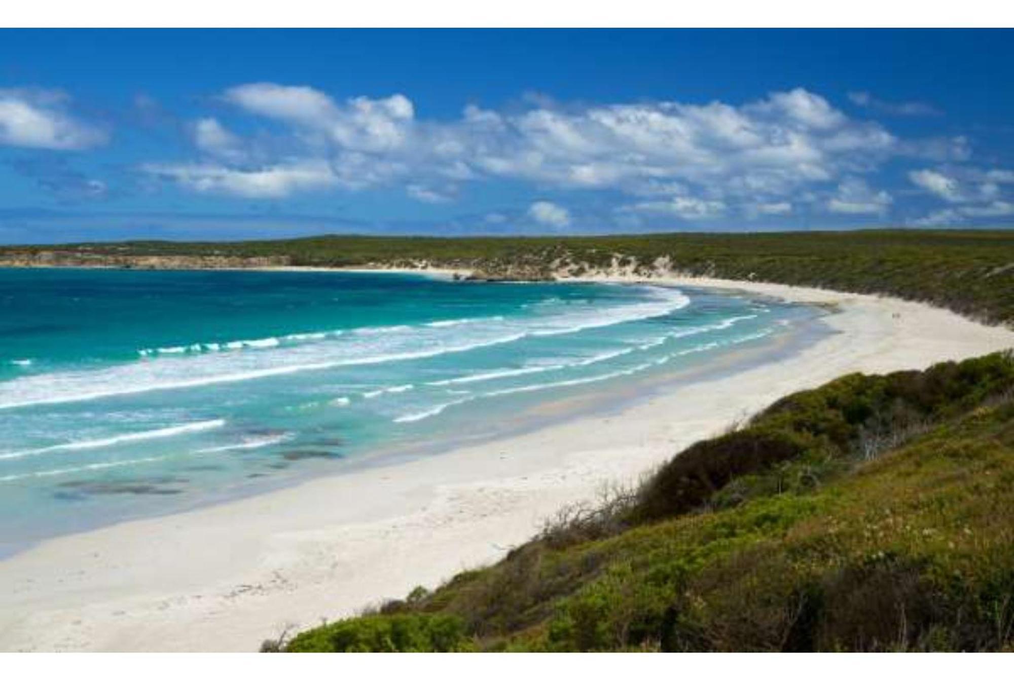 Discovery Parks - Kangaroo Island Flinders Chase Exteriör bild